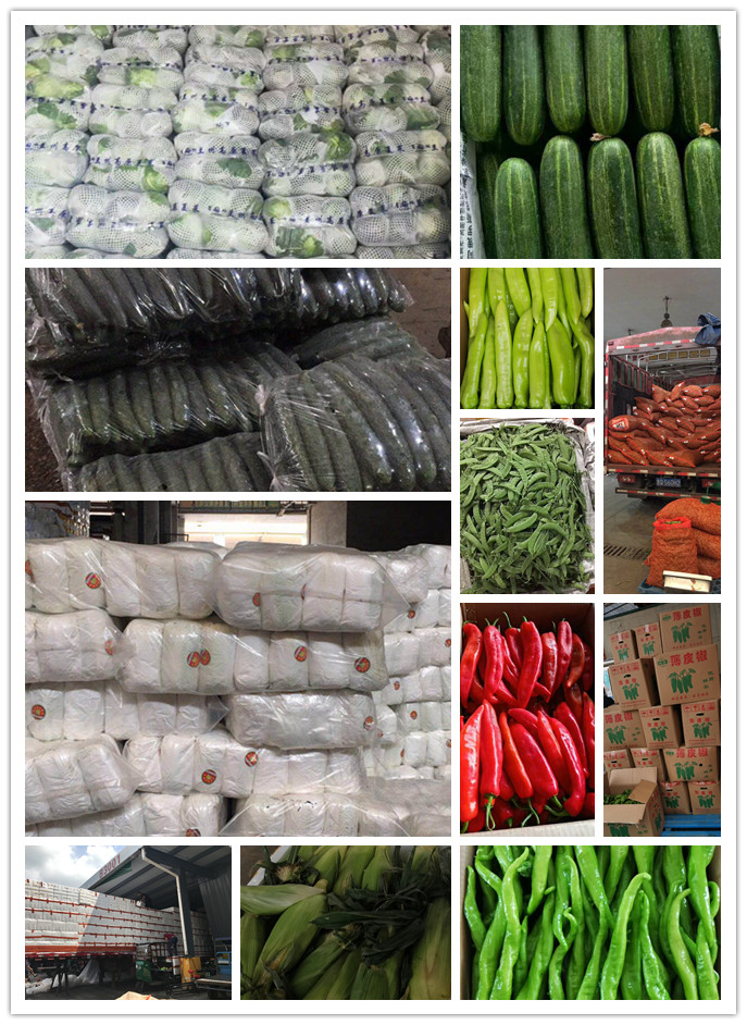 德赢·(VWIN)官方网站-AC米兰官方合作同伴