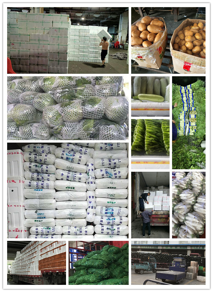 德赢·(VWIN)官方网站-AC米兰官方合作同伴