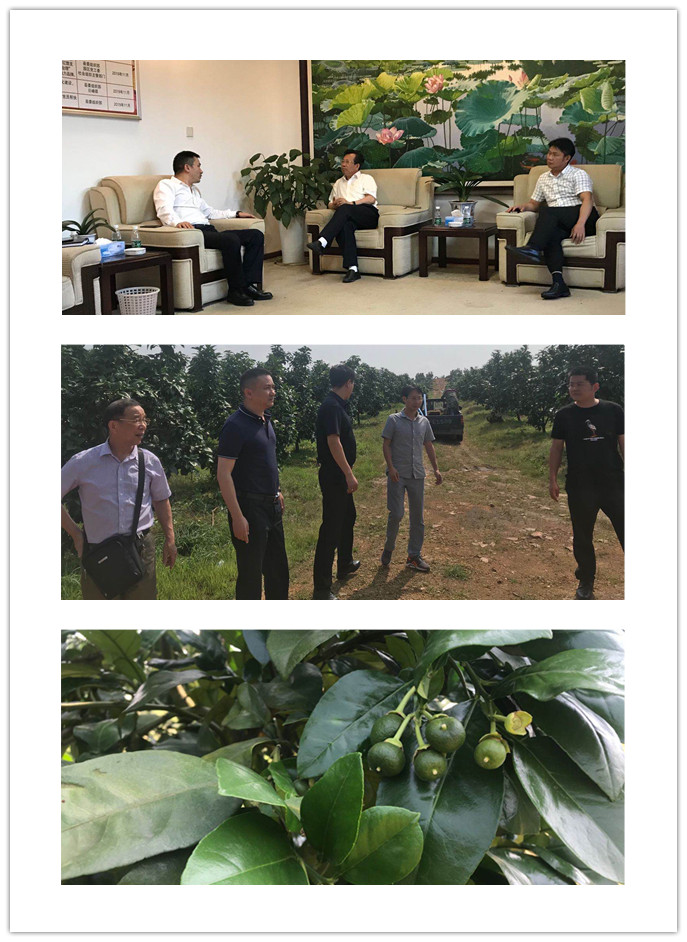 德赢·(VWIN)官方网站-AC米兰官方合作同伴