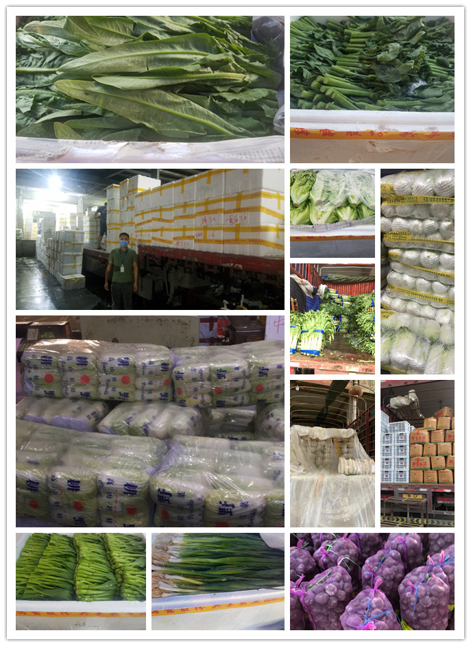 德赢·(VWIN)官方网站-AC米兰官方合作同伴