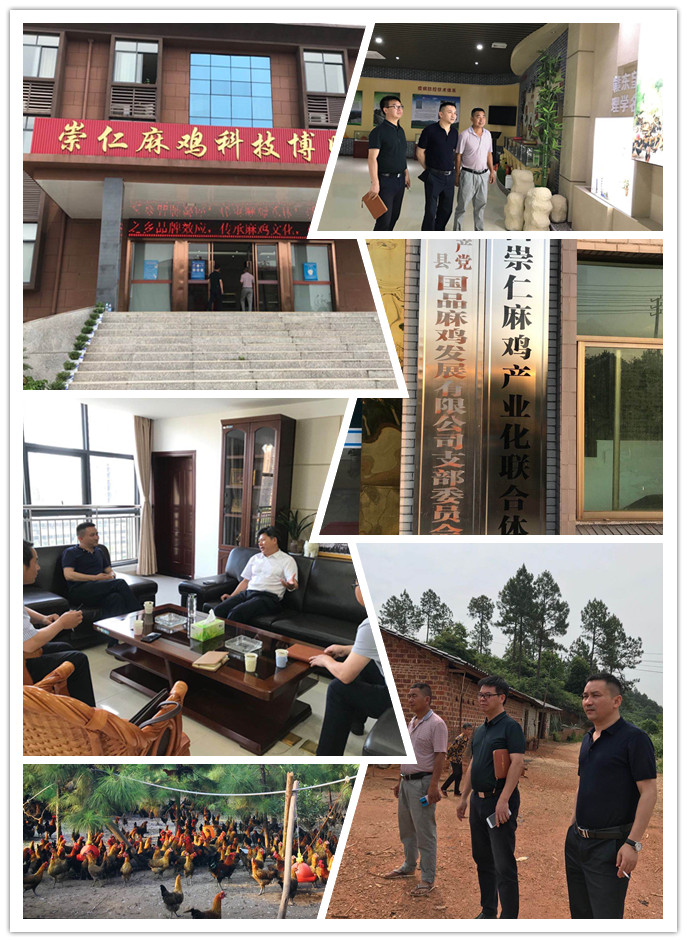 德赢·(VWIN)官方网站-AC米兰官方合作同伴