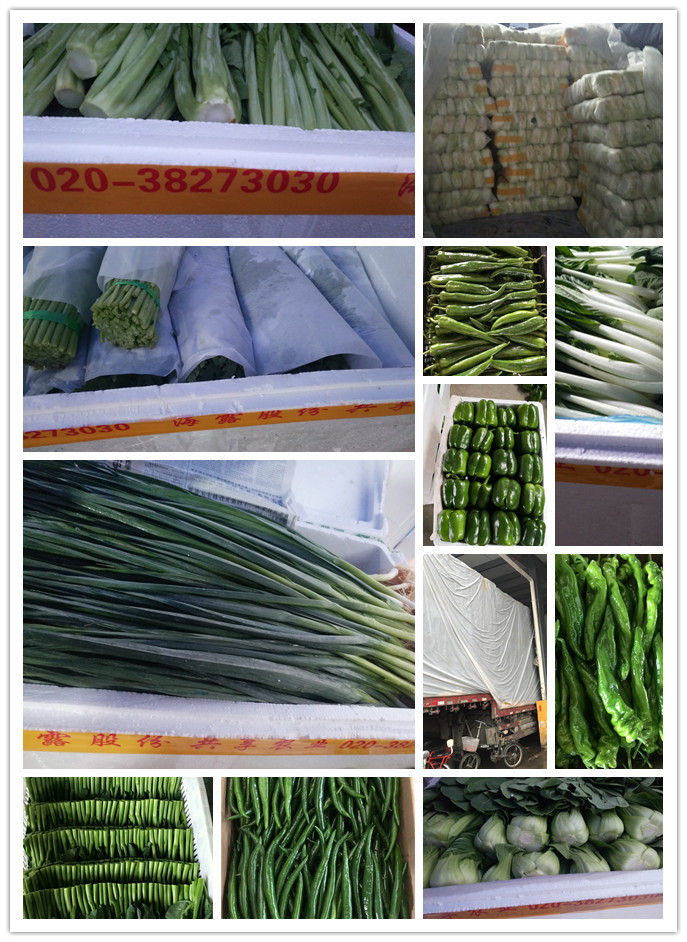 德赢·(VWIN)官方网站-AC米兰官方合作同伴