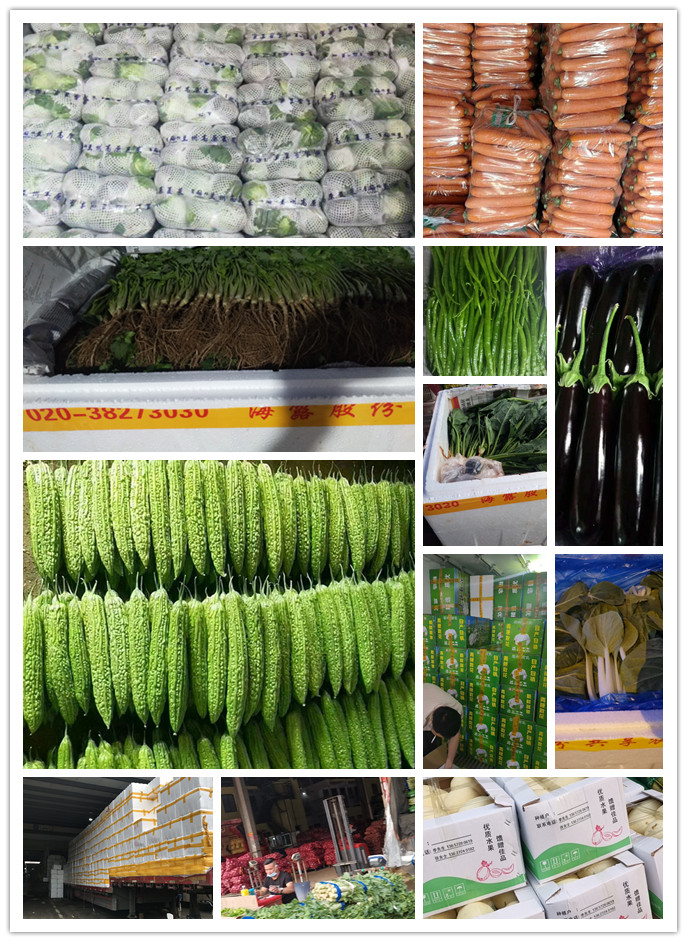 德赢·(VWIN)官方网站-AC米兰官方合作同伴