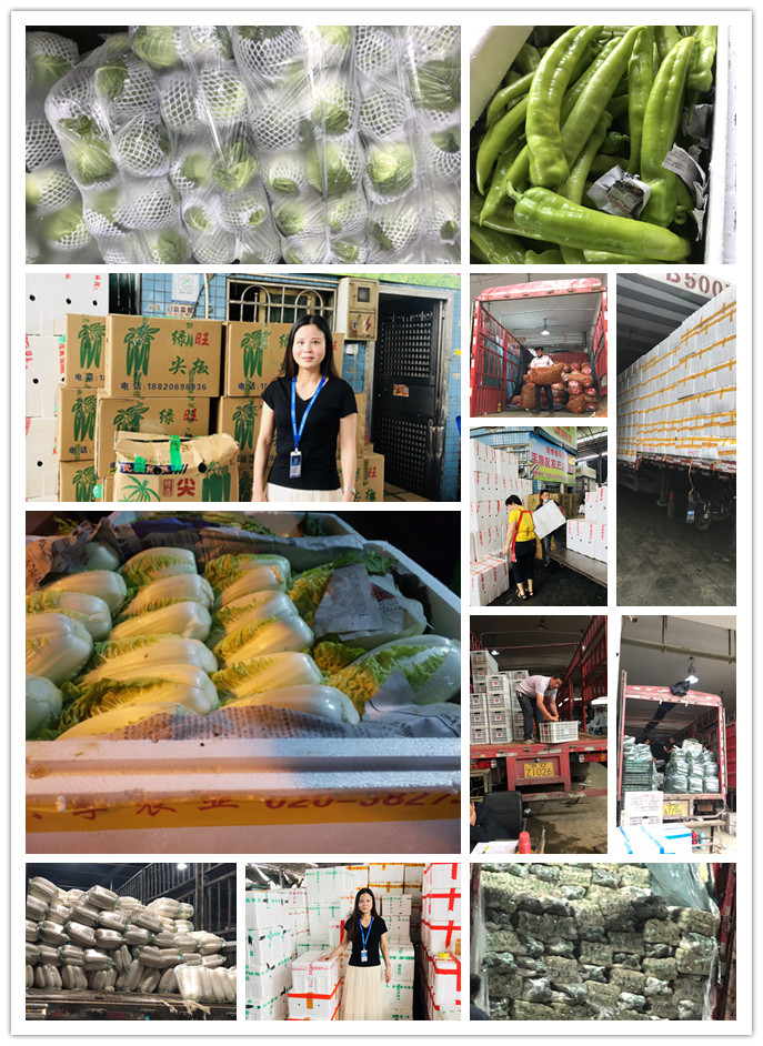 德赢·(VWIN)官方网站-AC米兰官方合作同伴