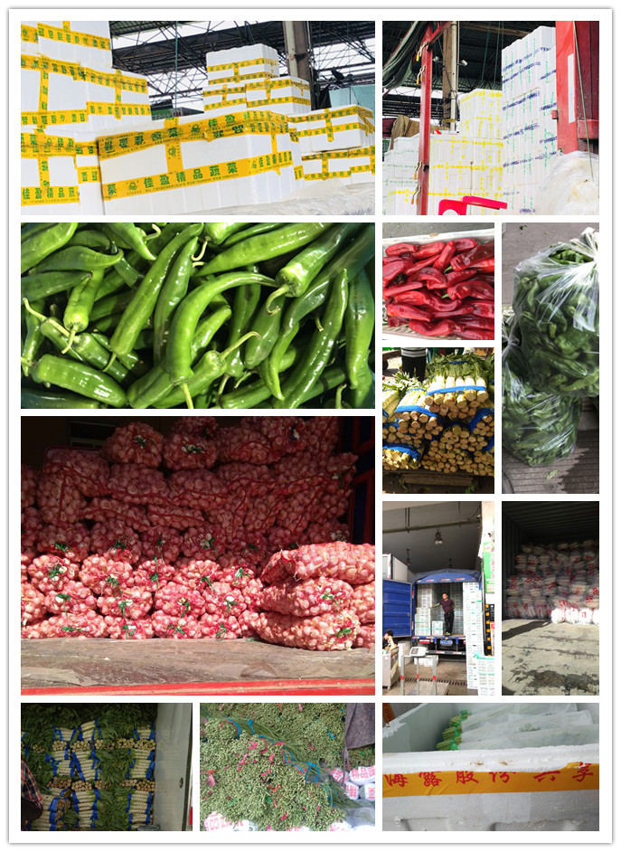 德赢·(VWIN)官方网站-AC米兰官方合作同伴