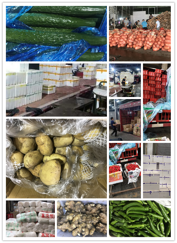 德赢·(VWIN)官方网站-AC米兰官方合作同伴