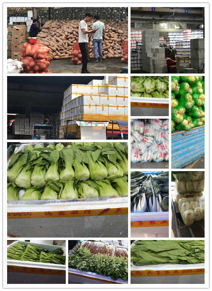 德赢·(VWIN)官方网站-AC米兰官方合作同伴