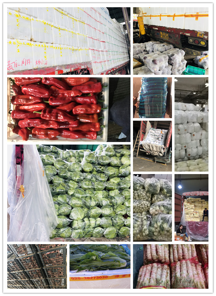 德赢·(VWIN)官方网站-AC米兰官方合作同伴