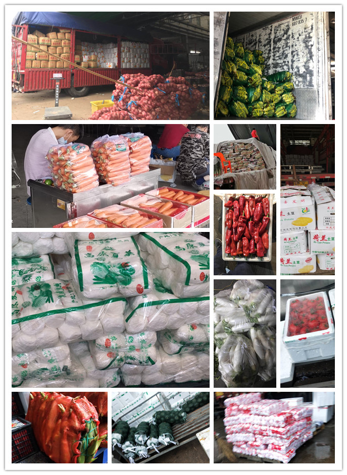 德赢·(VWIN)官方网站-AC米兰官方合作同伴