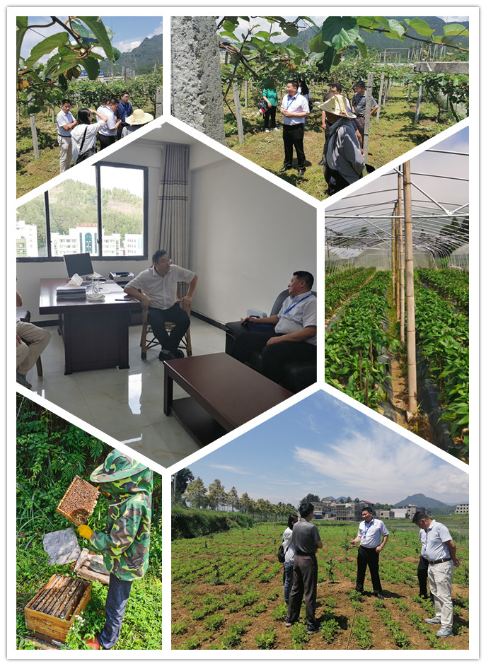 德赢·(VWIN)官方网站-AC米兰官方合作同伴