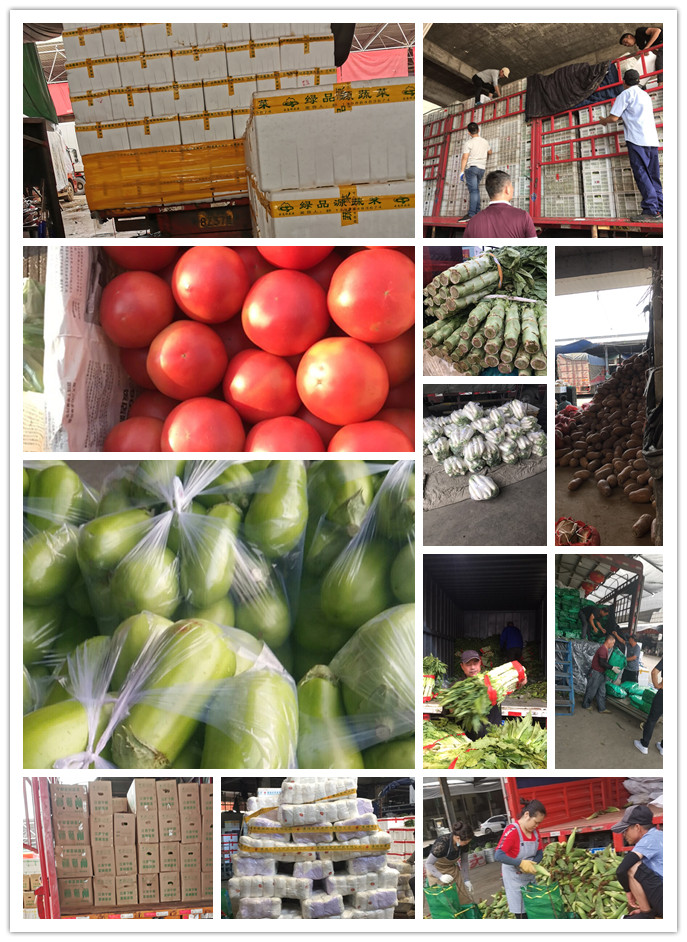 德赢·(VWIN)官方网站-AC米兰官方合作同伴