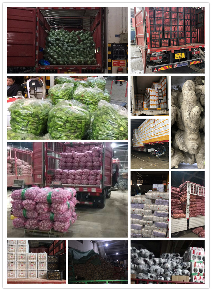 德赢·(VWIN)官方网站-AC米兰官方合作同伴