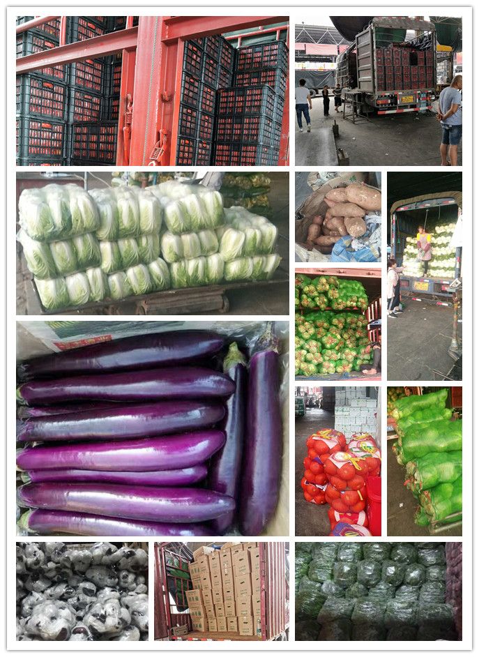 德赢·(VWIN)官方网站-AC米兰官方合作同伴