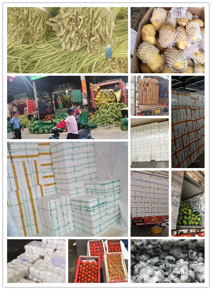 德赢·(VWIN)官方网站-AC米兰官方合作同伴