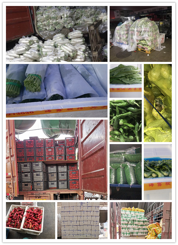 德赢·(VWIN)官方网站-AC米兰官方合作同伴