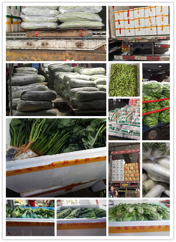 德赢·(VWIN)官方网站-AC米兰官方合作同伴