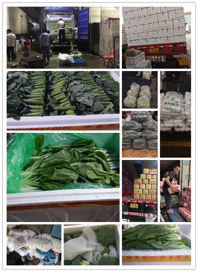 德赢·(VWIN)官方网站-AC米兰官方合作同伴