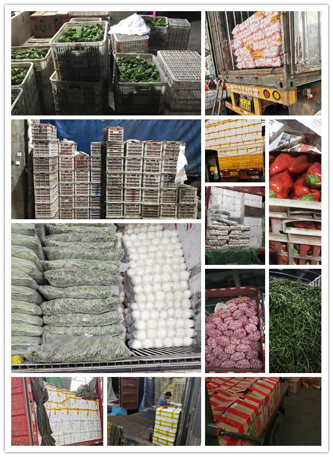 德赢·(VWIN)官方网站-AC米兰官方合作同伴