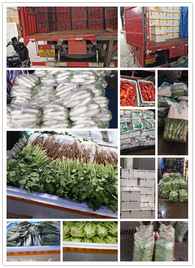 德赢·(VWIN)官方网站-AC米兰官方合作同伴