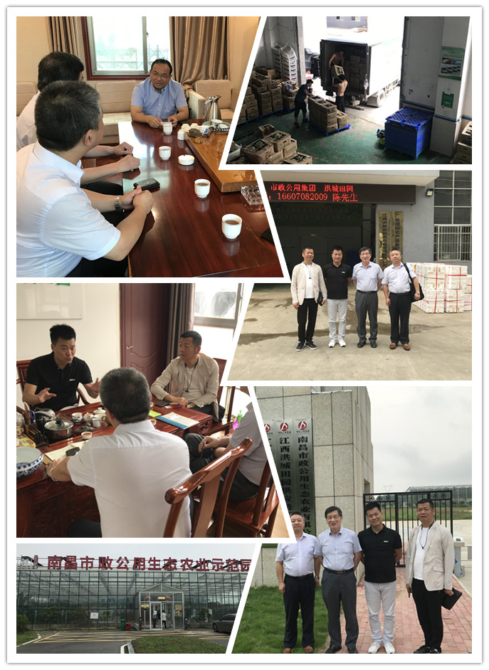 德赢·(VWIN)官方网站-AC米兰官方合作同伴