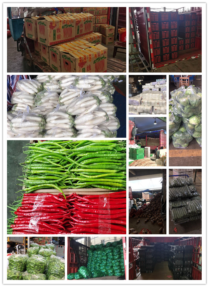 德赢·(VWIN)官方网站-AC米兰官方合作同伴