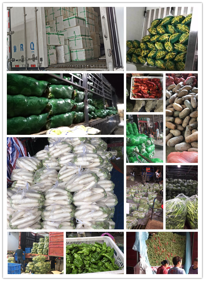 德赢·(VWIN)官方网站-AC米兰官方合作同伴