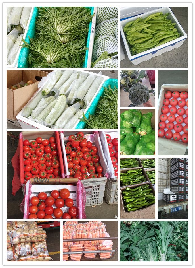 德赢·(VWIN)官方网站-AC米兰官方合作同伴