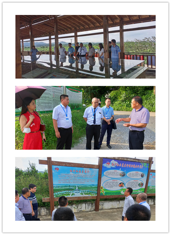 德赢·(VWIN)官方网站-AC米兰官方合作同伴