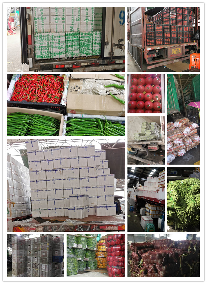 德赢·(VWIN)官方网站-AC米兰官方合作同伴