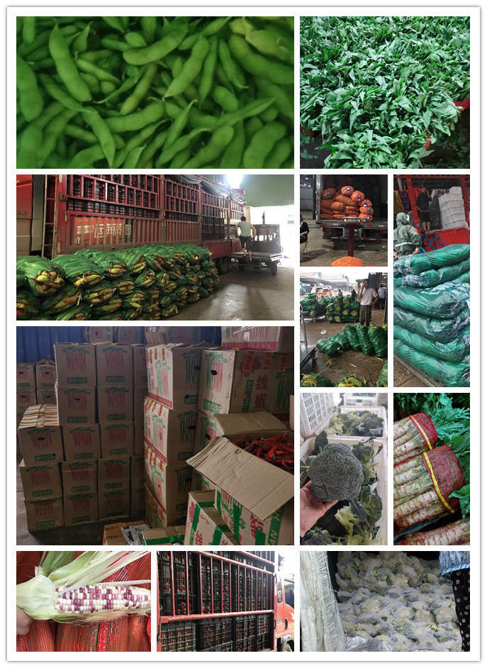 德赢·(VWIN)官方网站-AC米兰官方合作同伴