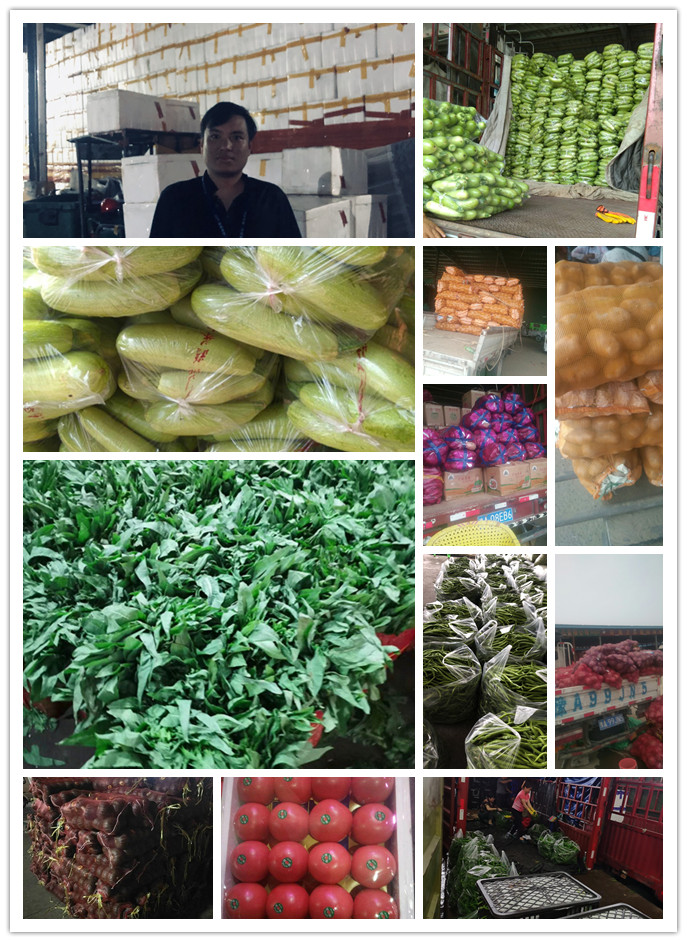 德赢·(VWIN)官方网站-AC米兰官方合作同伴