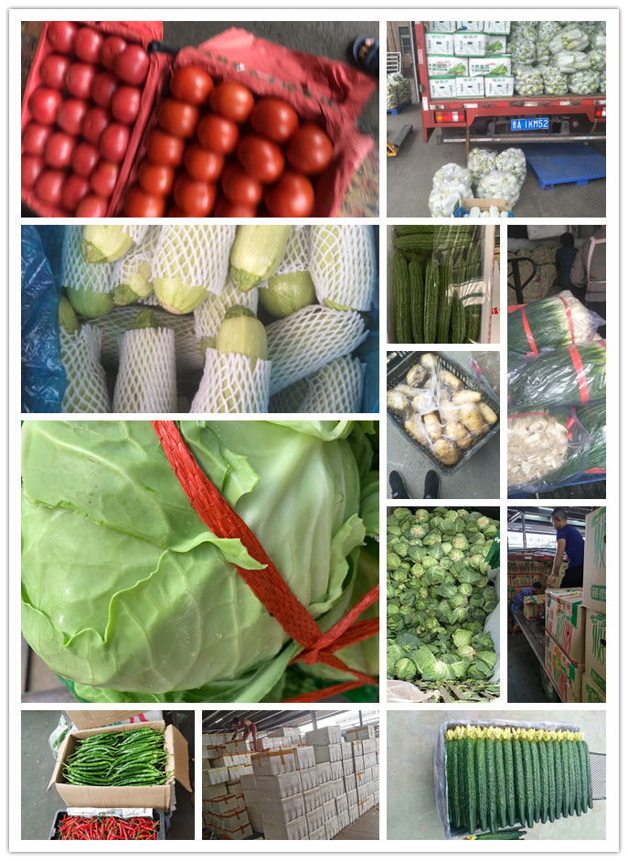 德赢·(VWIN)官方网站-AC米兰官方合作同伴