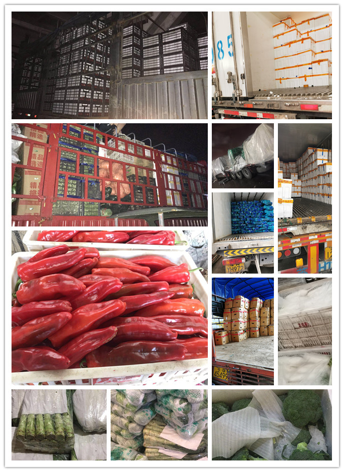 德赢·(VWIN)官方网站-AC米兰官方合作同伴