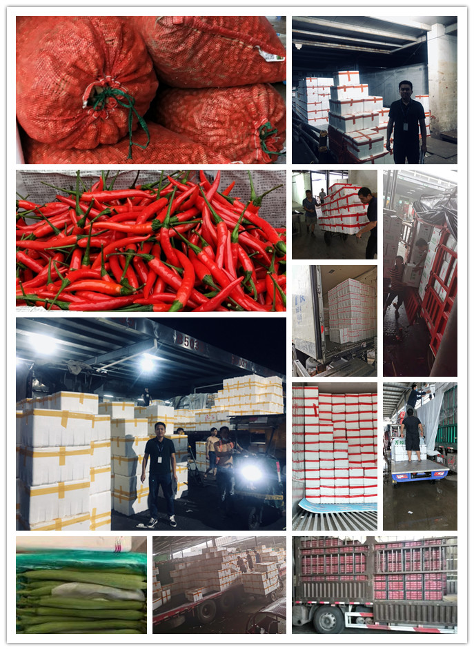 德赢·(VWIN)官方网站-AC米兰官方合作同伴