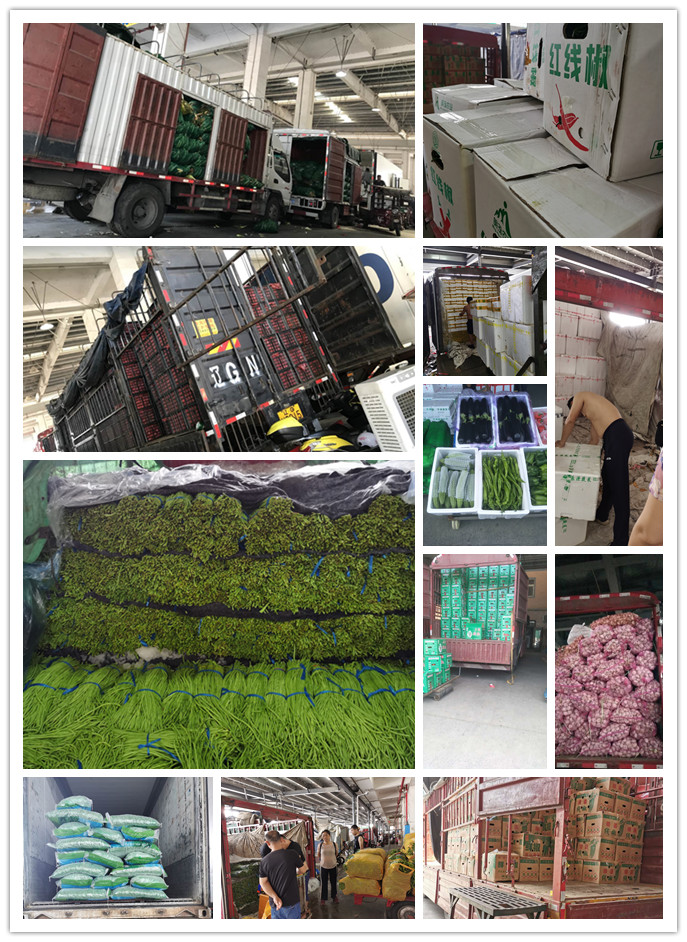 德赢·(VWIN)官方网站-AC米兰官方合作同伴