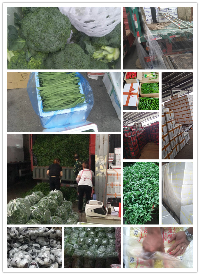 德赢·(VWIN)官方网站-AC米兰官方合作同伴