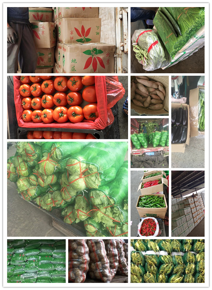 德赢·(VWIN)官方网站-AC米兰官方合作同伴