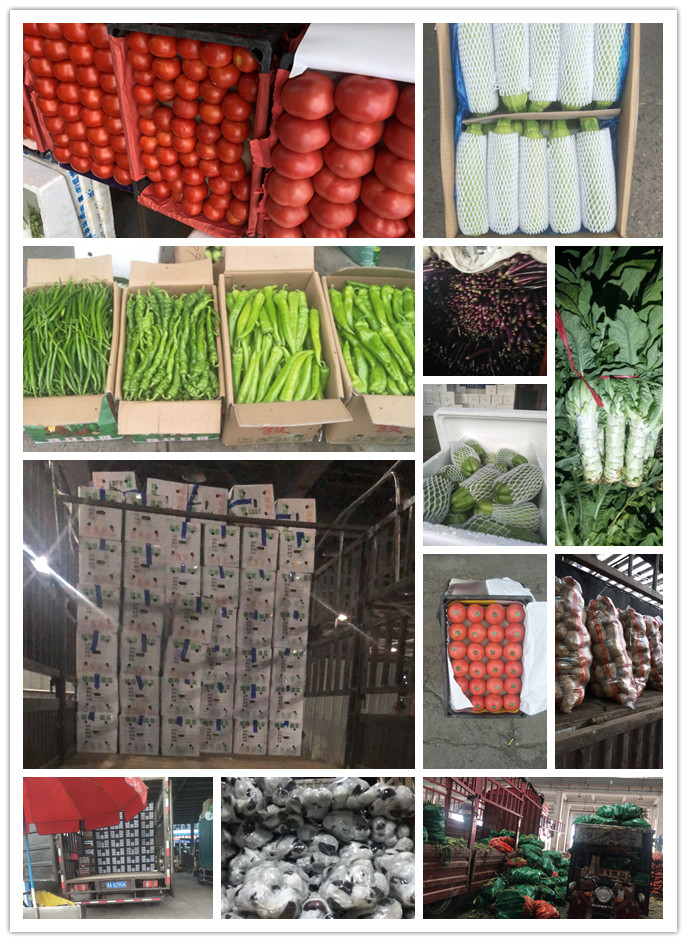 德赢·(VWIN)官方网站-AC米兰官方合作同伴