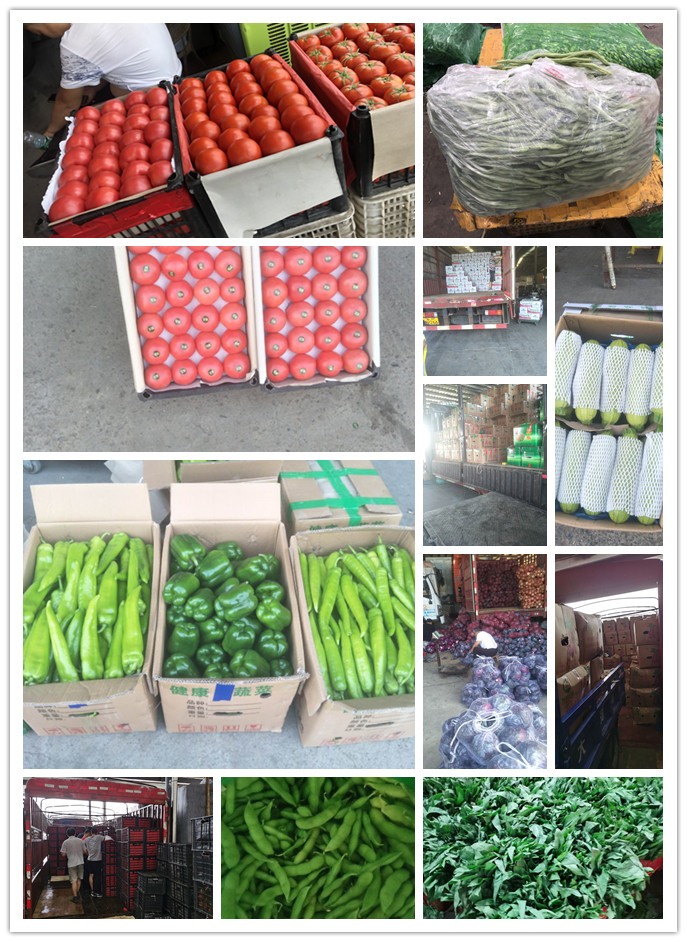 德赢·(VWIN)官方网站-AC米兰官方合作同伴