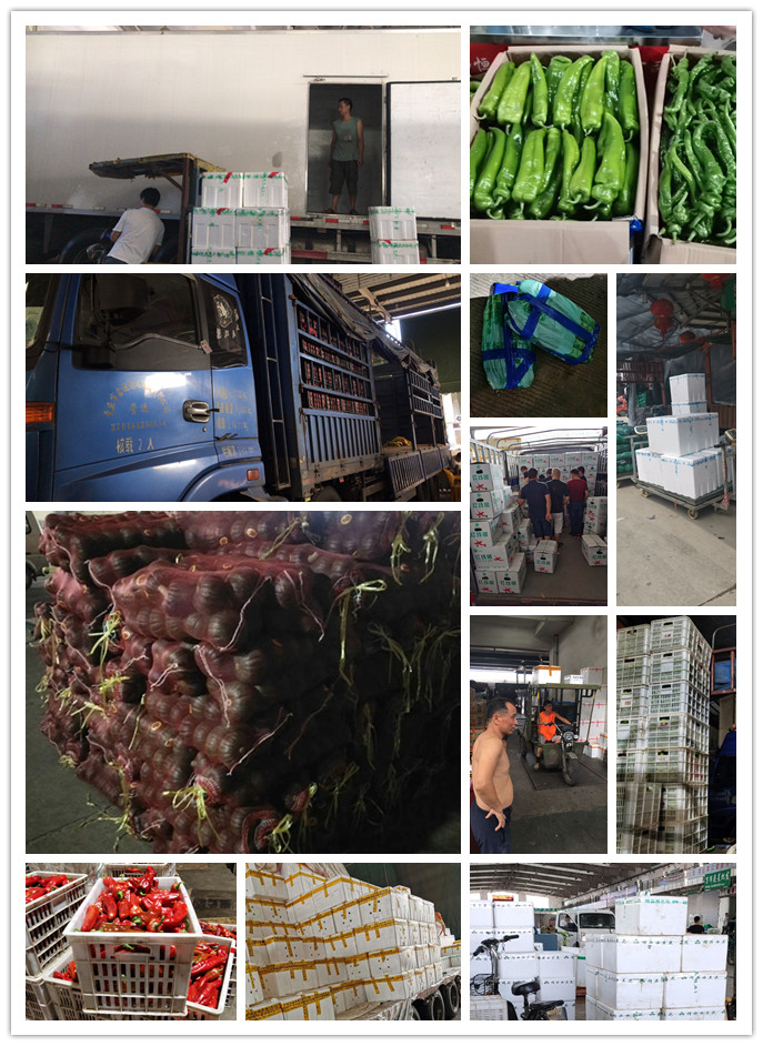 德赢·(VWIN)官方网站-AC米兰官方合作同伴