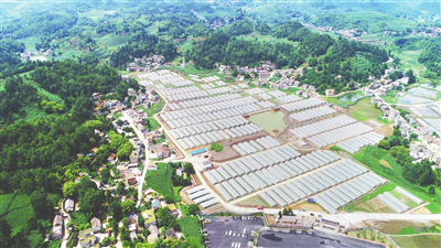 德赢·(VWIN)官方网站-AC米兰官方合作同伴