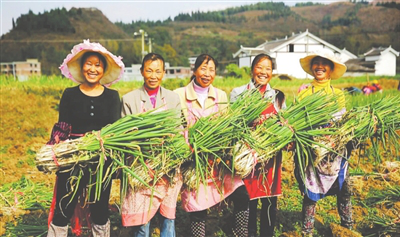 德赢·(VWIN)官方网站-AC米兰官方合作同伴