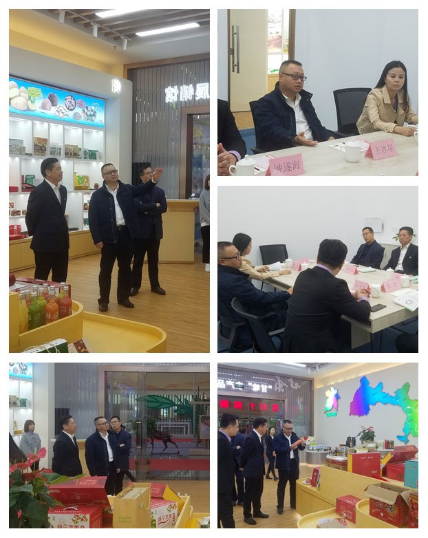 德赢·(VWIN)官方网站-AC米兰官方合作同伴