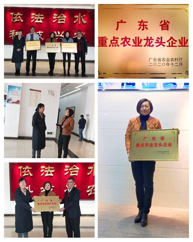 德赢·(VWIN)官方网站-AC米兰官方合作同伴