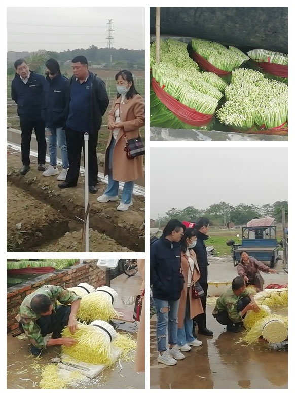 德赢·(VWIN)官方网站-AC米兰官方合作同伴