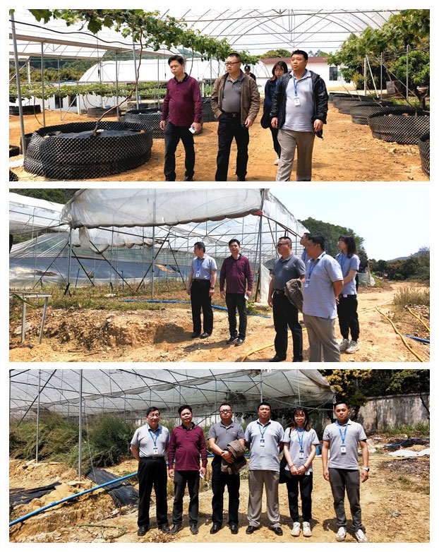 德赢·(VWIN)官方网站-AC米兰官方合作同伴