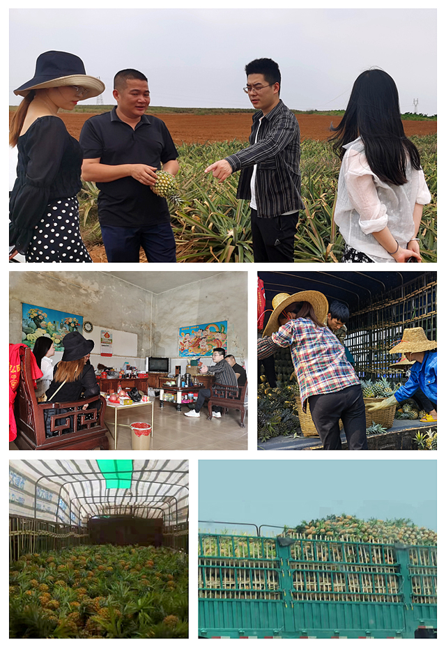 德赢·(VWIN)官方网站-AC米兰官方合作同伴