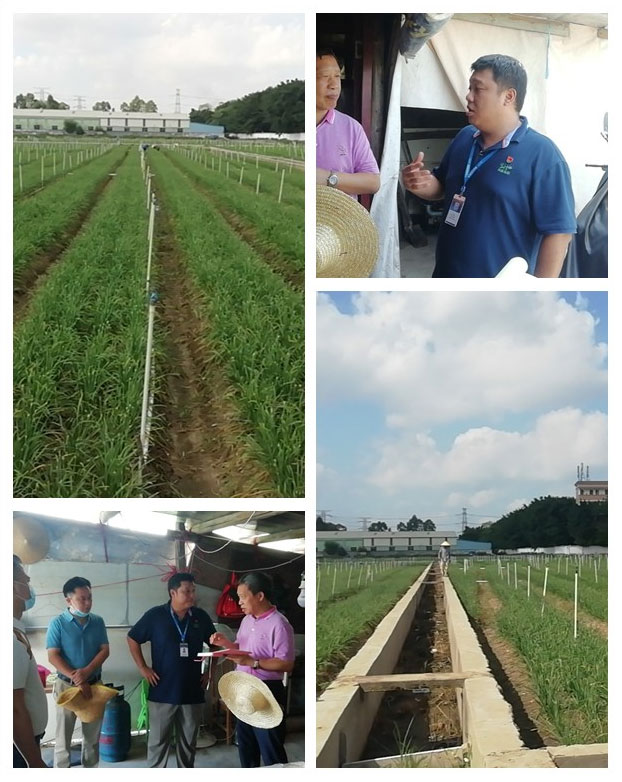 德赢·(VWIN)官方网站-AC米兰官方合作同伴