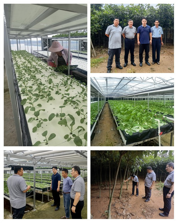 德赢·(VWIN)官方网站-AC米兰官方合作同伴