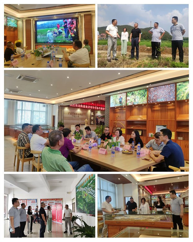 德赢·(VWIN)官方网站-AC米兰官方合作同伴